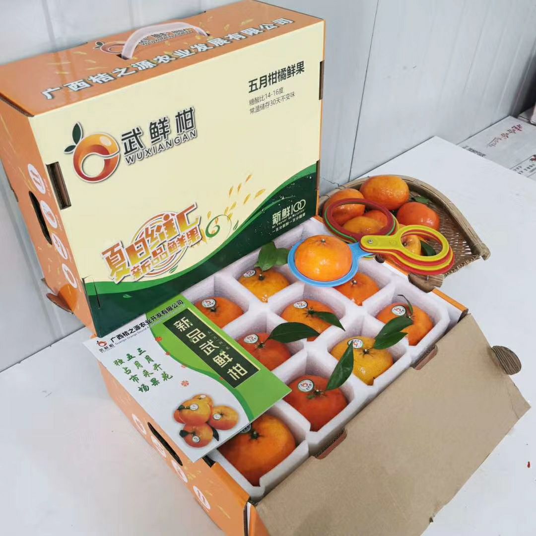  新品柑橘 武鲜柑 柑橘生鲜水果