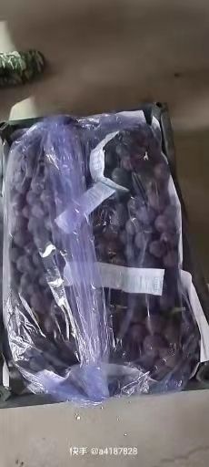 北镇市巨峰葡萄  葡萄果粒大硬度好糖度高产地批发价格下滑有需要好货的联系我哟