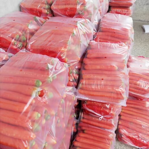 陕西万亩秤杆红萝卜大量上市！