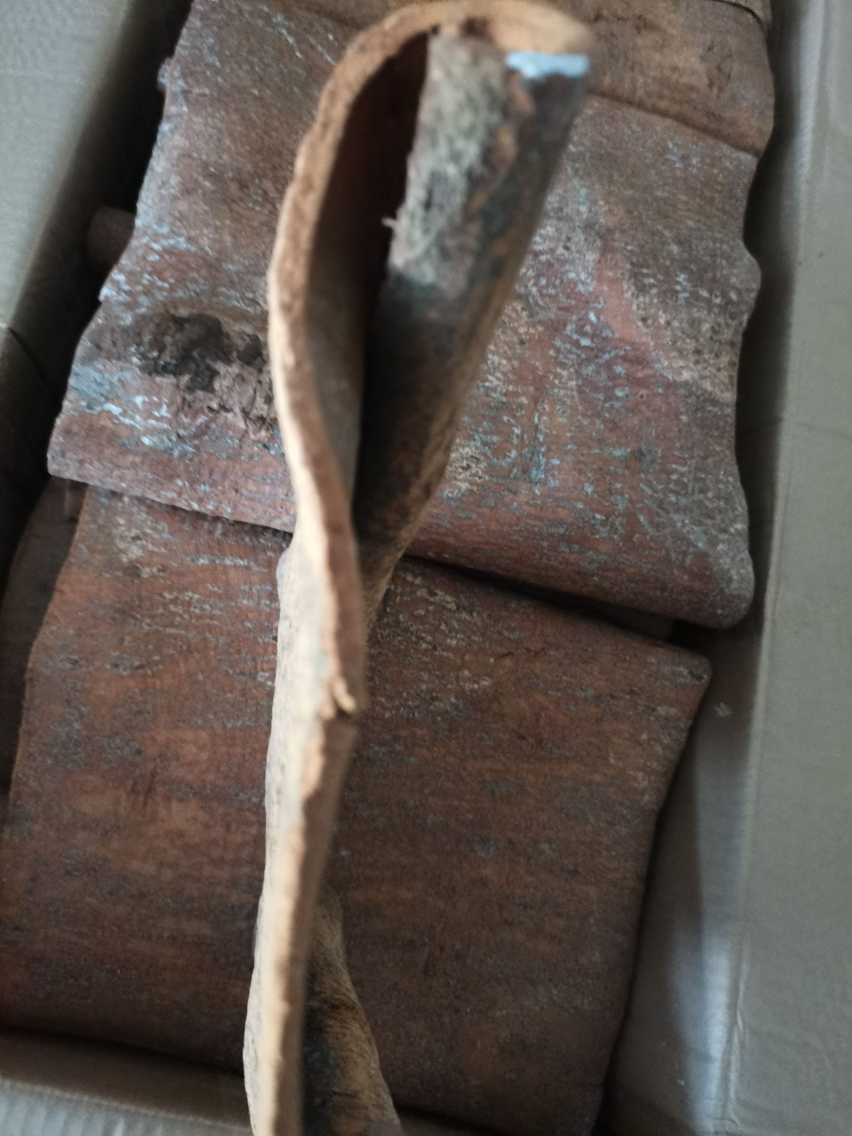 厚肉桂  选货桂通条形好干净，烟桂桂碎新货大量上市批零兼营，