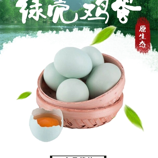 兴国县农家生态散养绿壳土鸡蛋乌鸡蛋绿壳草鸡蛋新鲜天然绿壳鸡蛋60枚