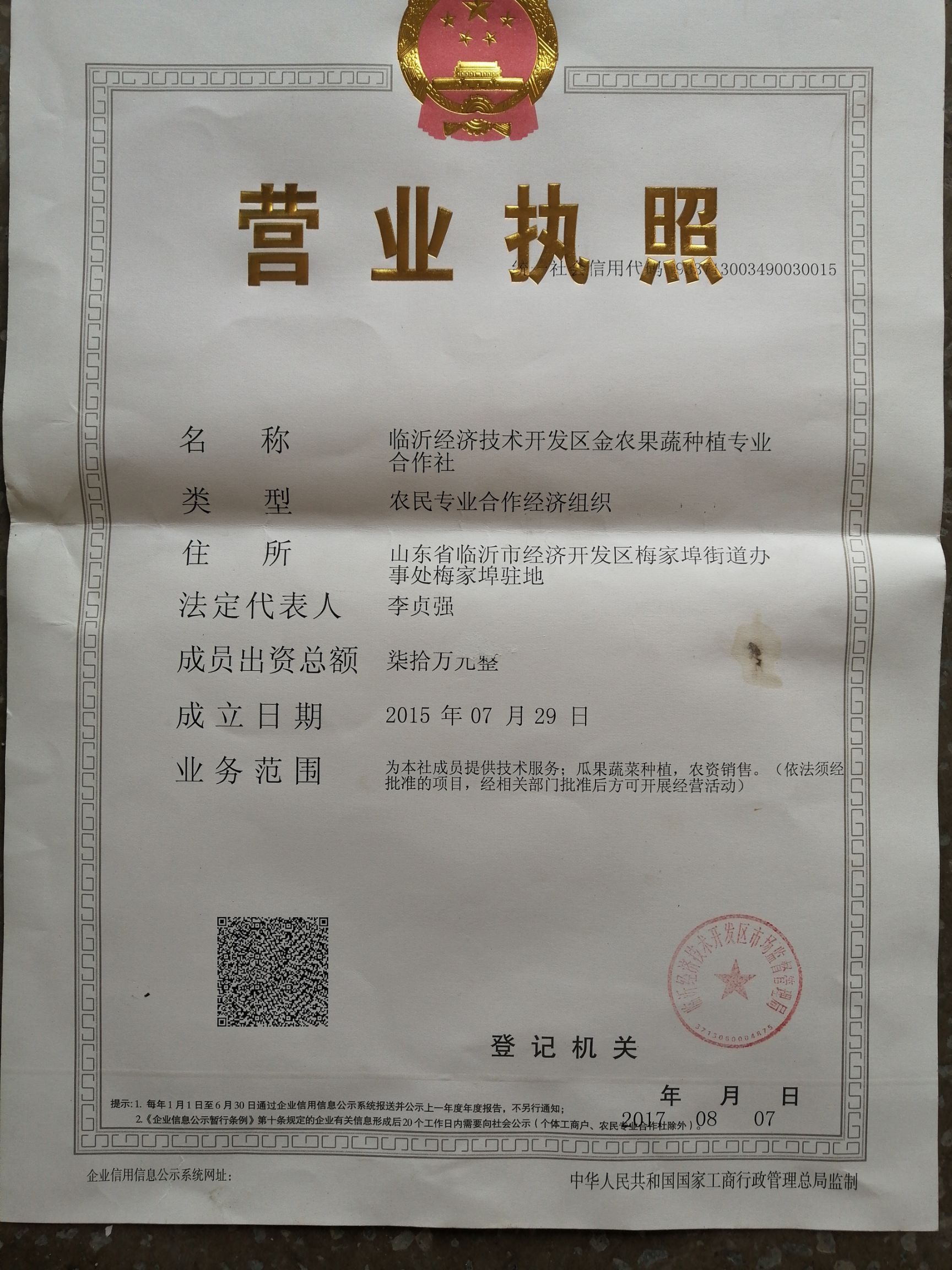 线椒种子  请相信科技的力量，好品种值得推荐