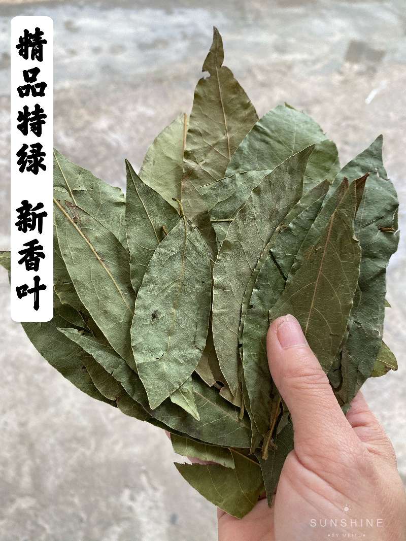 香叶  新货特绿香叶片大无枝枝梗统绿统货香叶大量供应批零兼营