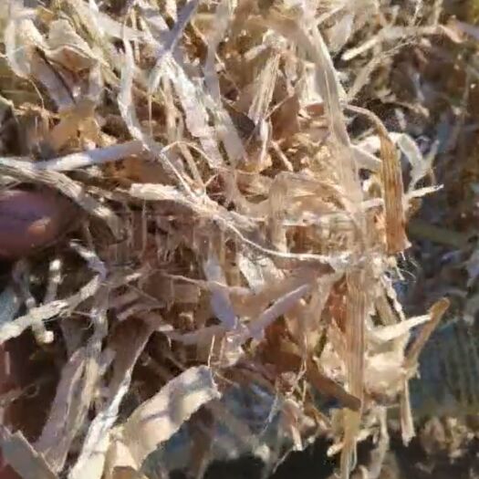 大庆 玉米秸秆草包  无土无膜无霉无雪柔丝草包   量大优惠