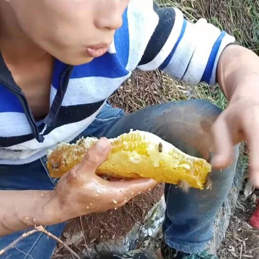 江永县 土蜂蜜