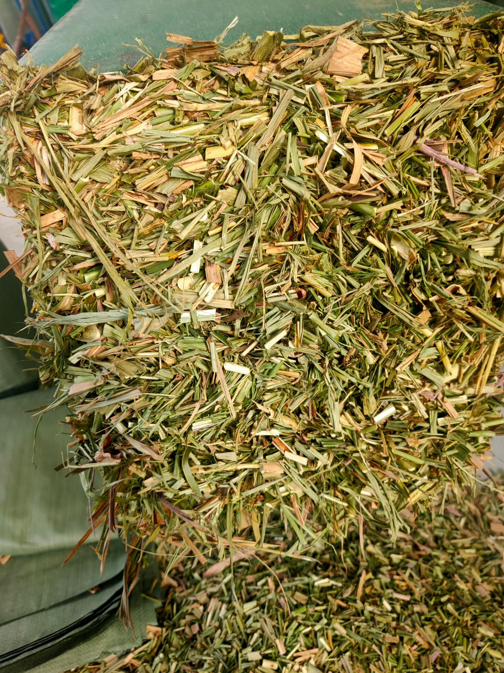 青贮类饲料 广西优质甘蔗尾碎料,压块