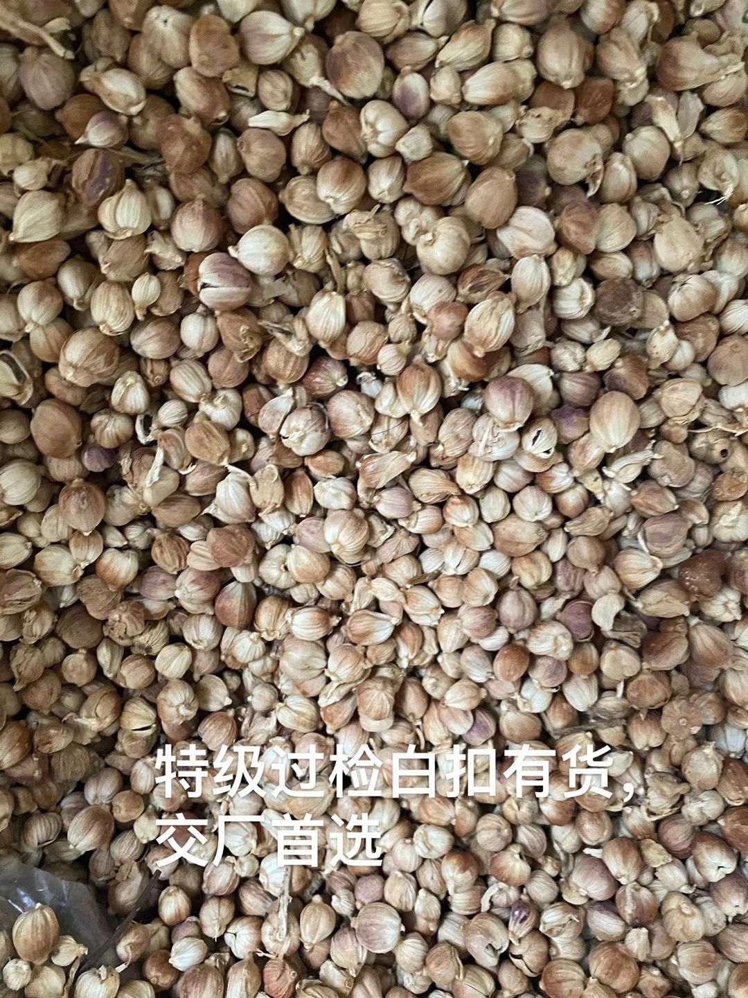 **原货白豆寇过风过检特全干水洗白豆蔻量大价格有优势