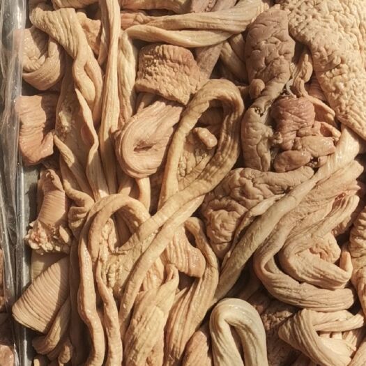 凤台县新鲜牛肠 禽畜肉蛋类 安徽淮南直发 高品质牛副产品