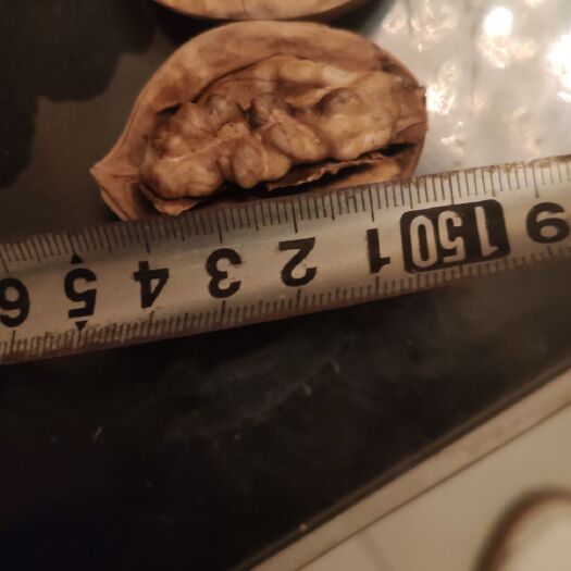 曲阳县新疆核桃 新疆薄皮核桃