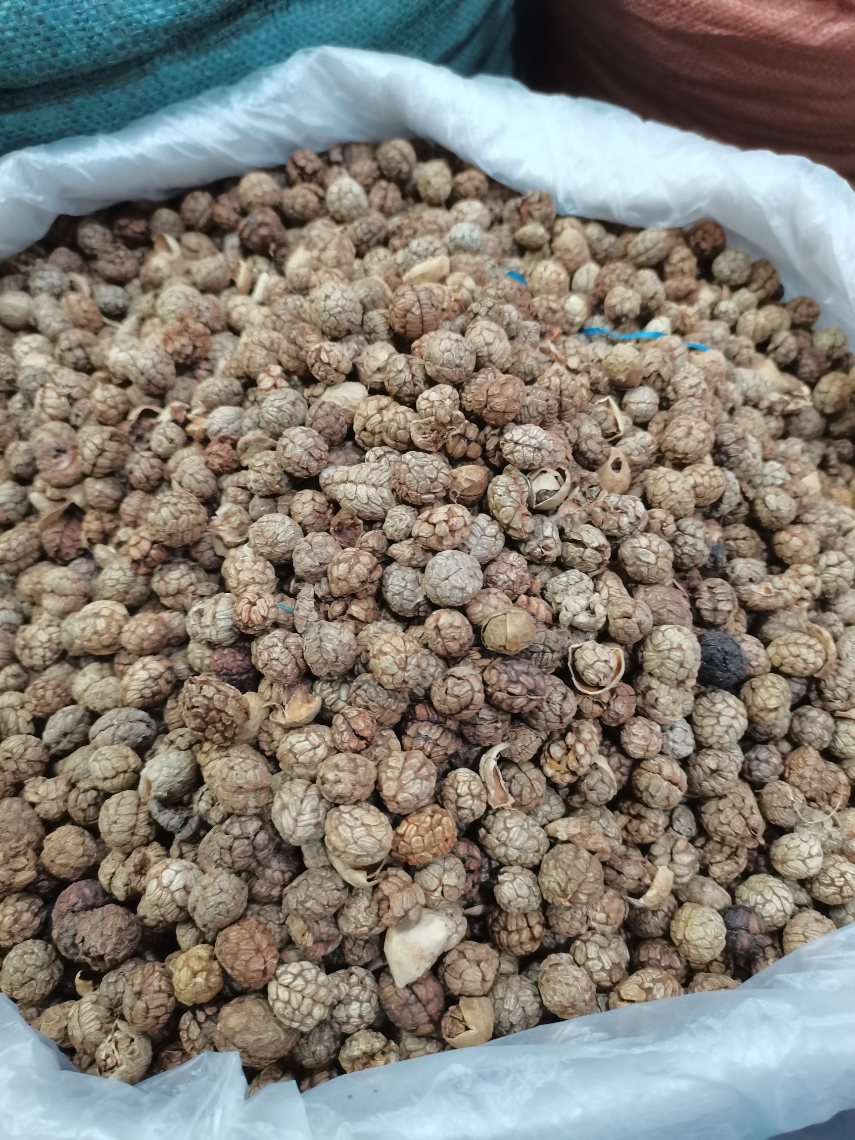 特绿中草蔻，广西大草蔻，海南大草蔻大货供应批零兼营，质优价美