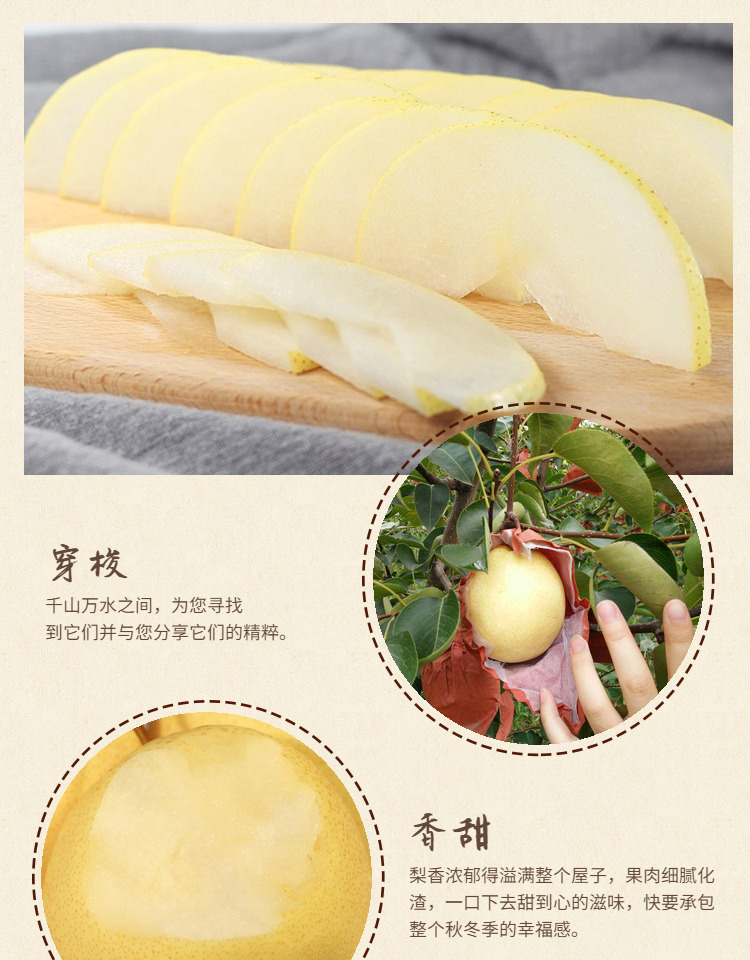 蜜梨 山西隰县蜜梨 冰糖蜜梨 黄金蜜梨 梨 梨子 冰糖蜜梨