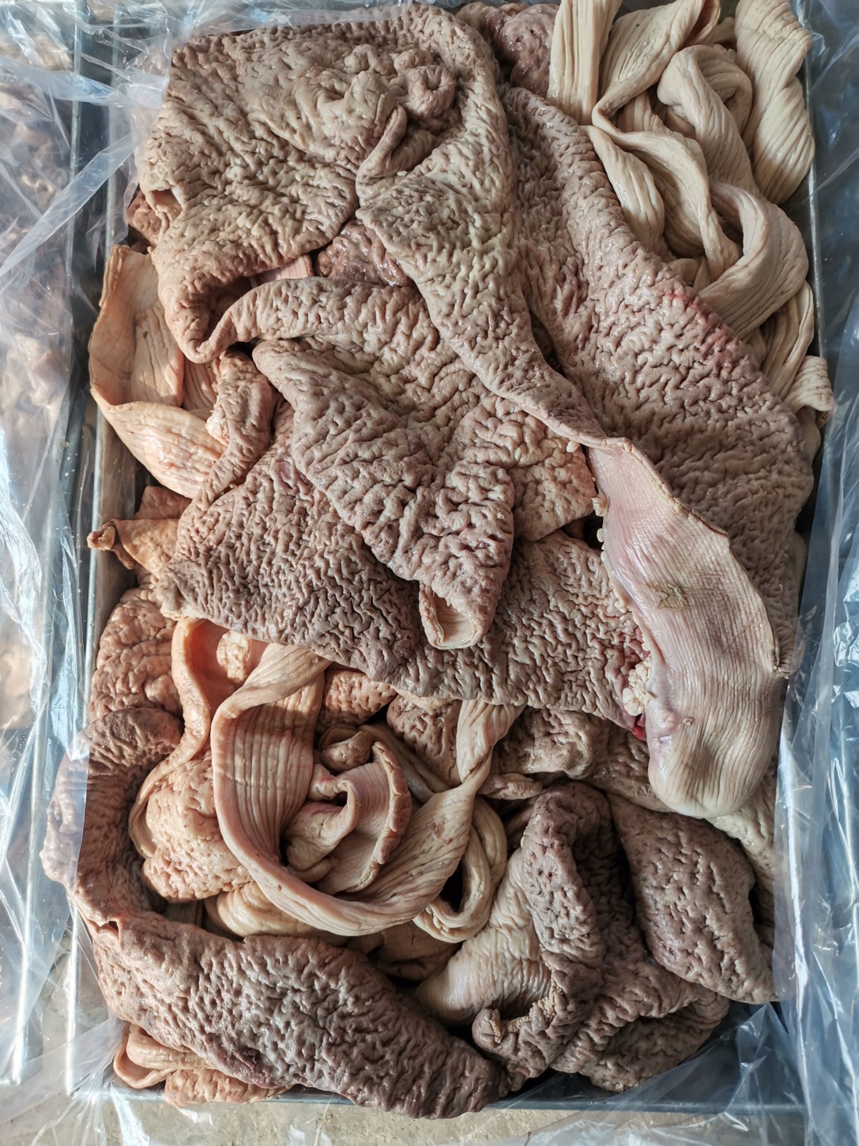 新鲜牛肠 禽畜肉蛋类 安徽淮南直发 高品质牛副产品