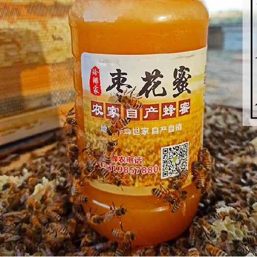 北屯市枣花蜜  新疆蜂蜜农家自产纯正天然红枣花蜂蜜全国包邮