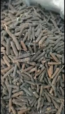 玉林荜茇  原货大毕茇中毕拨大量供应批零兼营价格上涨下单请询价