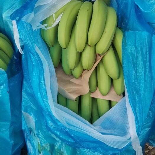 屏边县 云南红河香蕉王，电商标准货，精品货，货源充足，价格便宜！