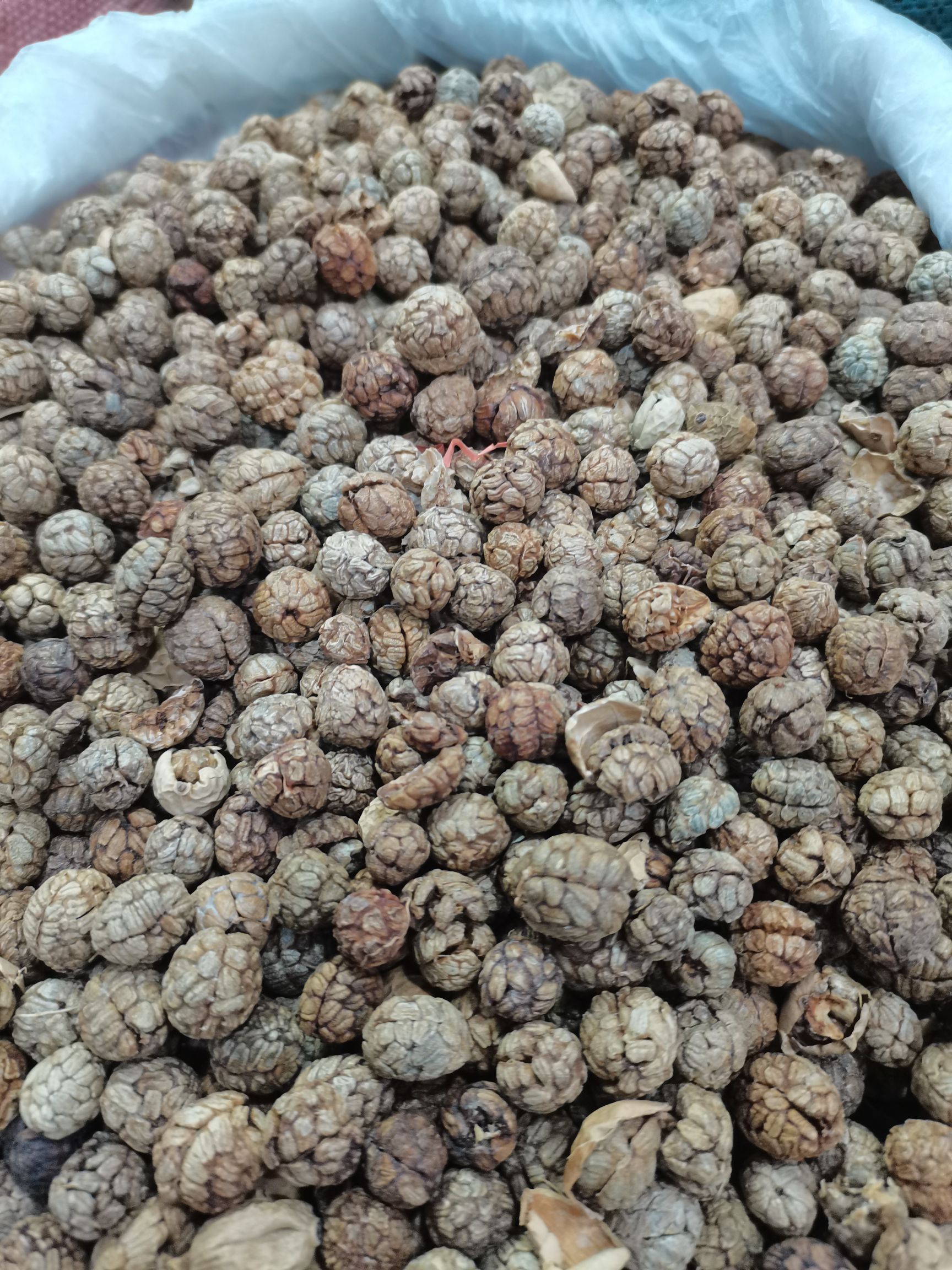 特绿中草蔻，广西大草蔻，海南大草蔻大货供应批零兼营，质优价美