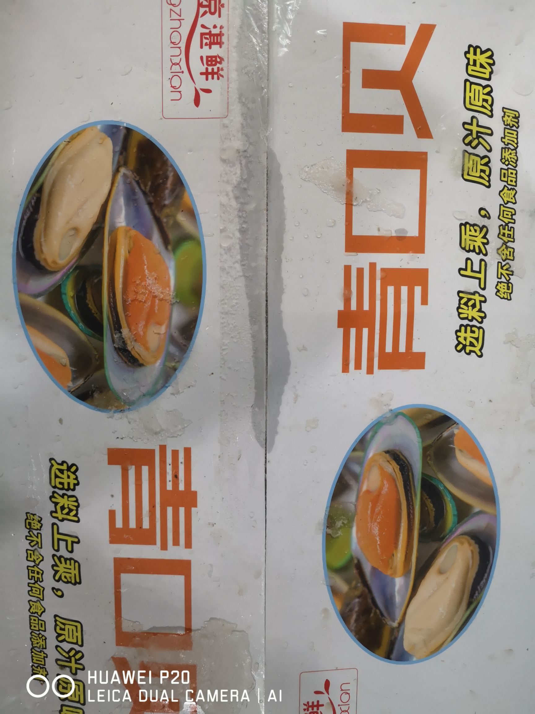 翡翠贻贝 冰鲜冻品青口贝