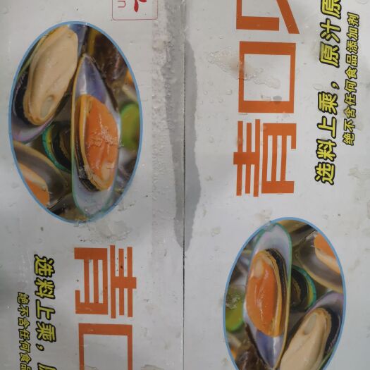 汕头翡翠贻贝 冰鲜冻品青口贝