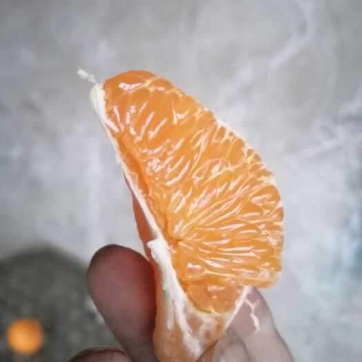 梓潼县耙耙柑色度好、糖份高、水份足