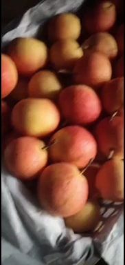 北镇特产南果梨