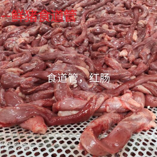 内乡县猪食管  猪食道管