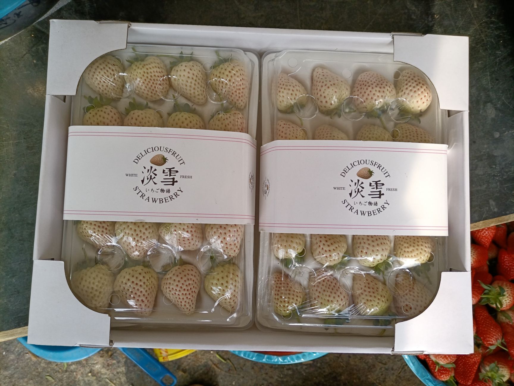 天使白草莓