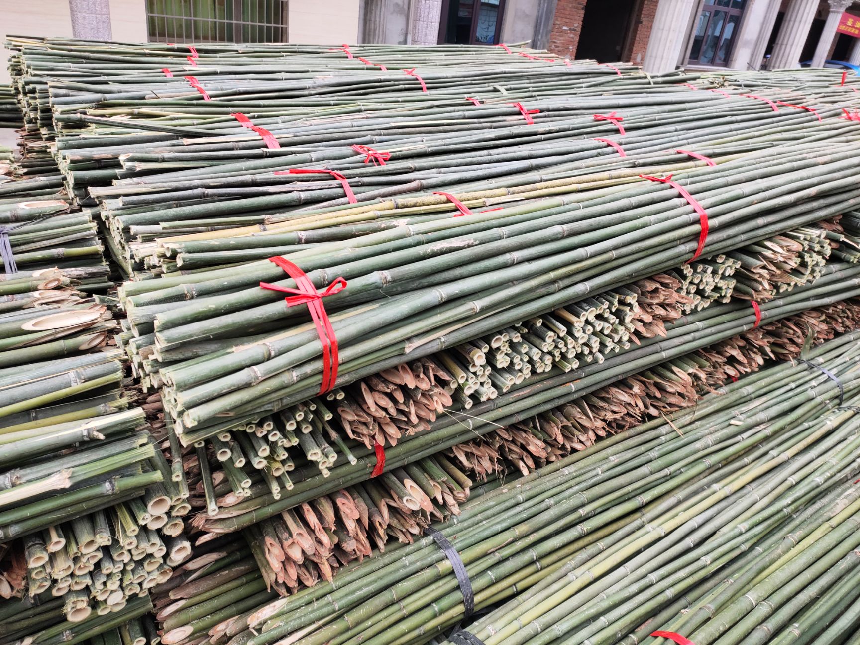 湖南衡阳菜架竹 新货上市,质量保证,价格优惠