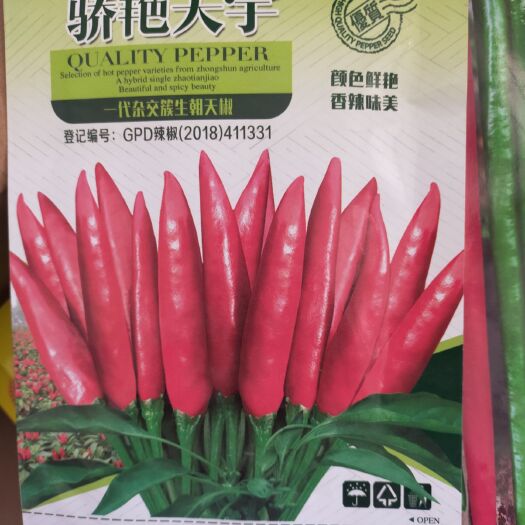 金乡县朝天椒种子 高辣天宇，簇生朝天椒，产量及高，抗病毒病