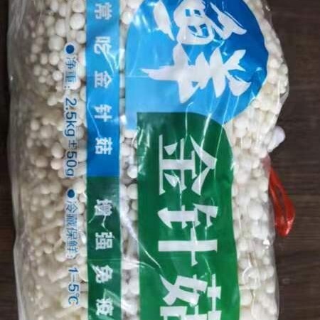 白金针菇 鲜金针菇 未开伞 