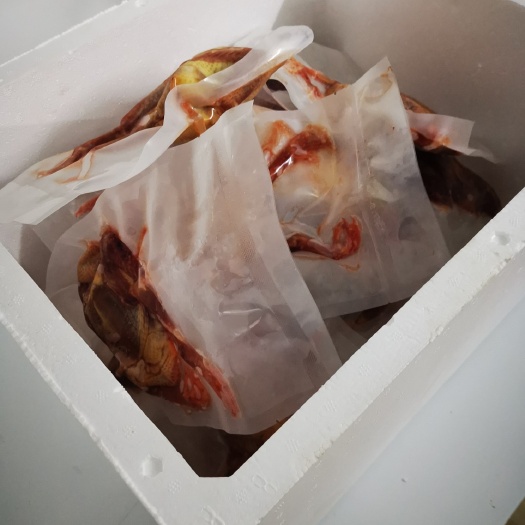 惠来县 中鸽，乳鸽。自养自产产品，有250至300。350至400克