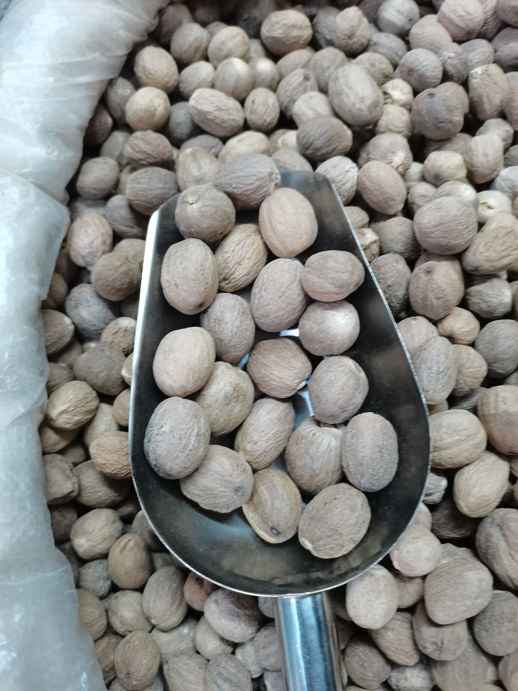 肉豆蔻，玉果，重油果，批零兼营，量大价格有优势