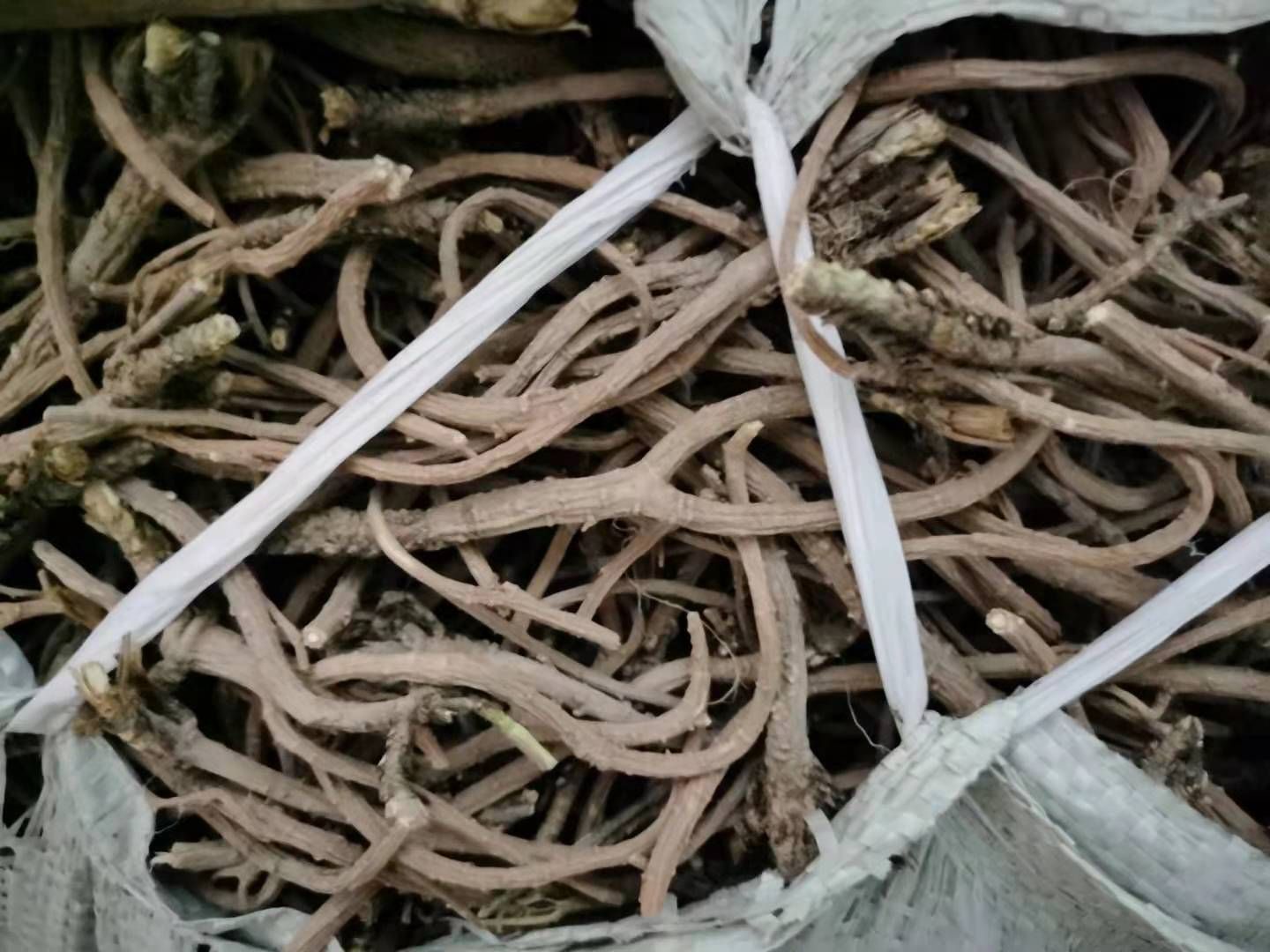北柴胡   中药材柴胡正品包含量 优质新柴胡