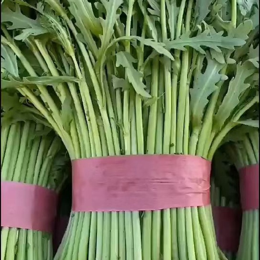 邯郸蒿子杆  蔬菜拼车代收价格优惠