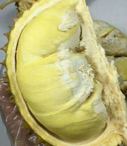 海口泰国金枕榴莲  泰国金枕头榴莲，口感香甜软糯，果型饱满圆润，寻长期稳定合作者