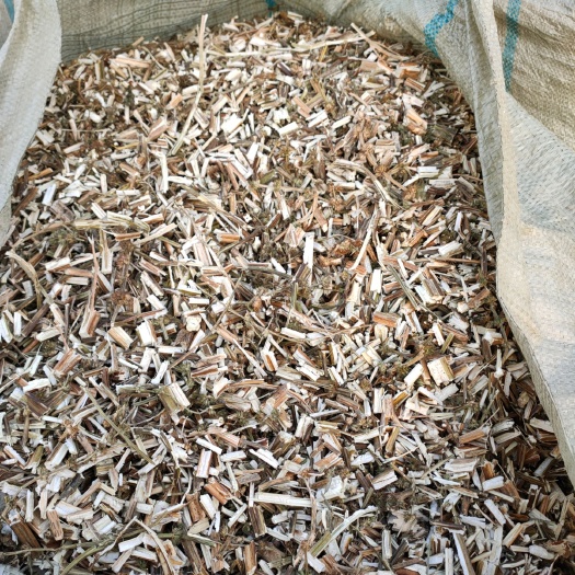 涡阳县 出售益母草