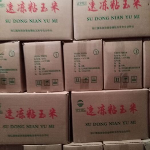 桓仁县冻干玉米  东北速冻粘玉米软糯香甜
