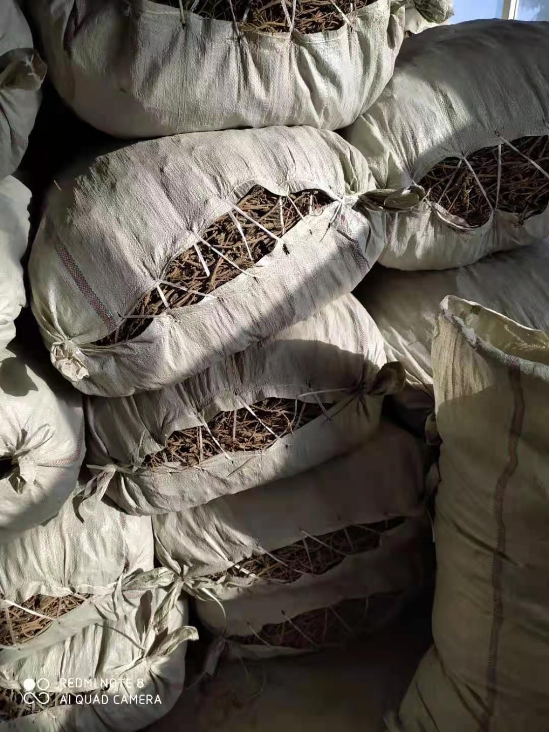 北柴胡   中药材柴胡正品包含量 优质新柴胡
