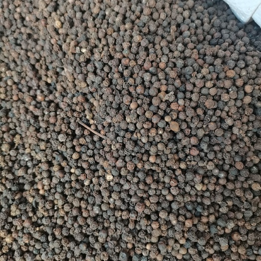 全干无硫精选黑胡椒粒，火锅底料牛排调味料，大货供应，批零兼营