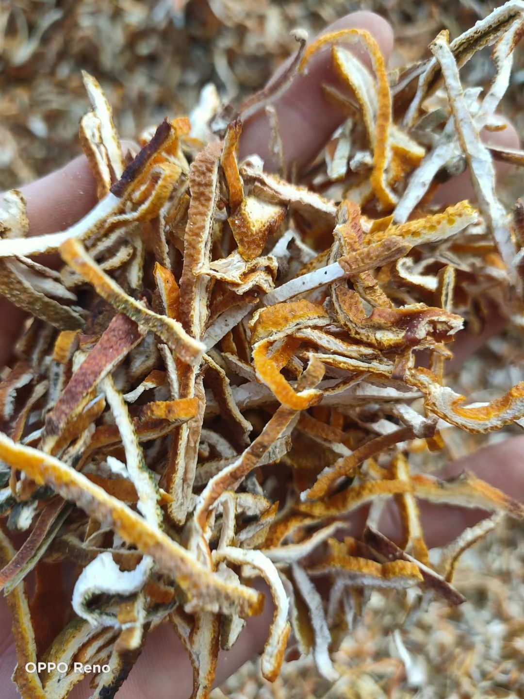 陈皮个，新会老陈皮，陈皮丝，大货供应，批零兼营，价格优惠
