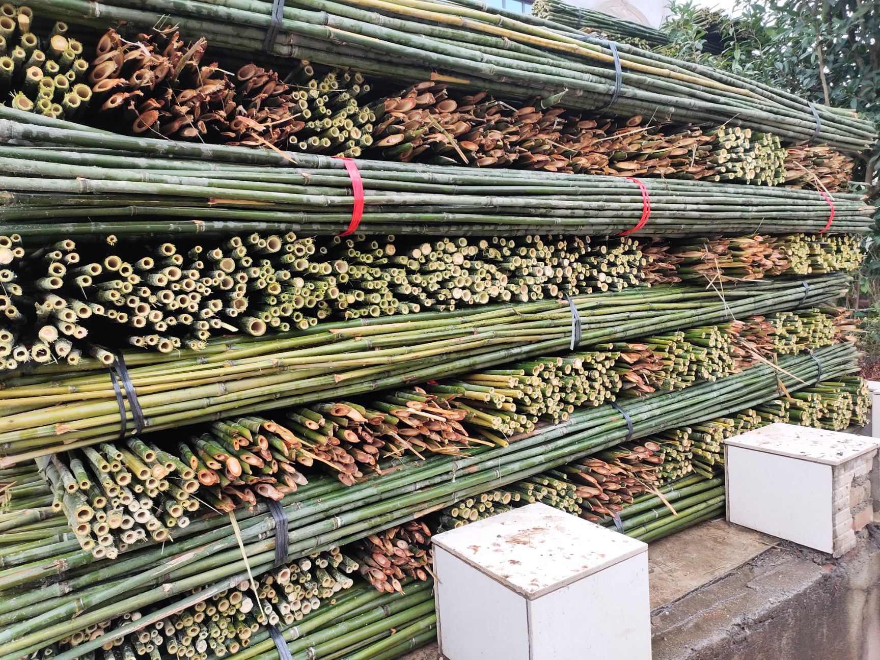 2.5米菜架竹，50根，质量保证，欢迎订购