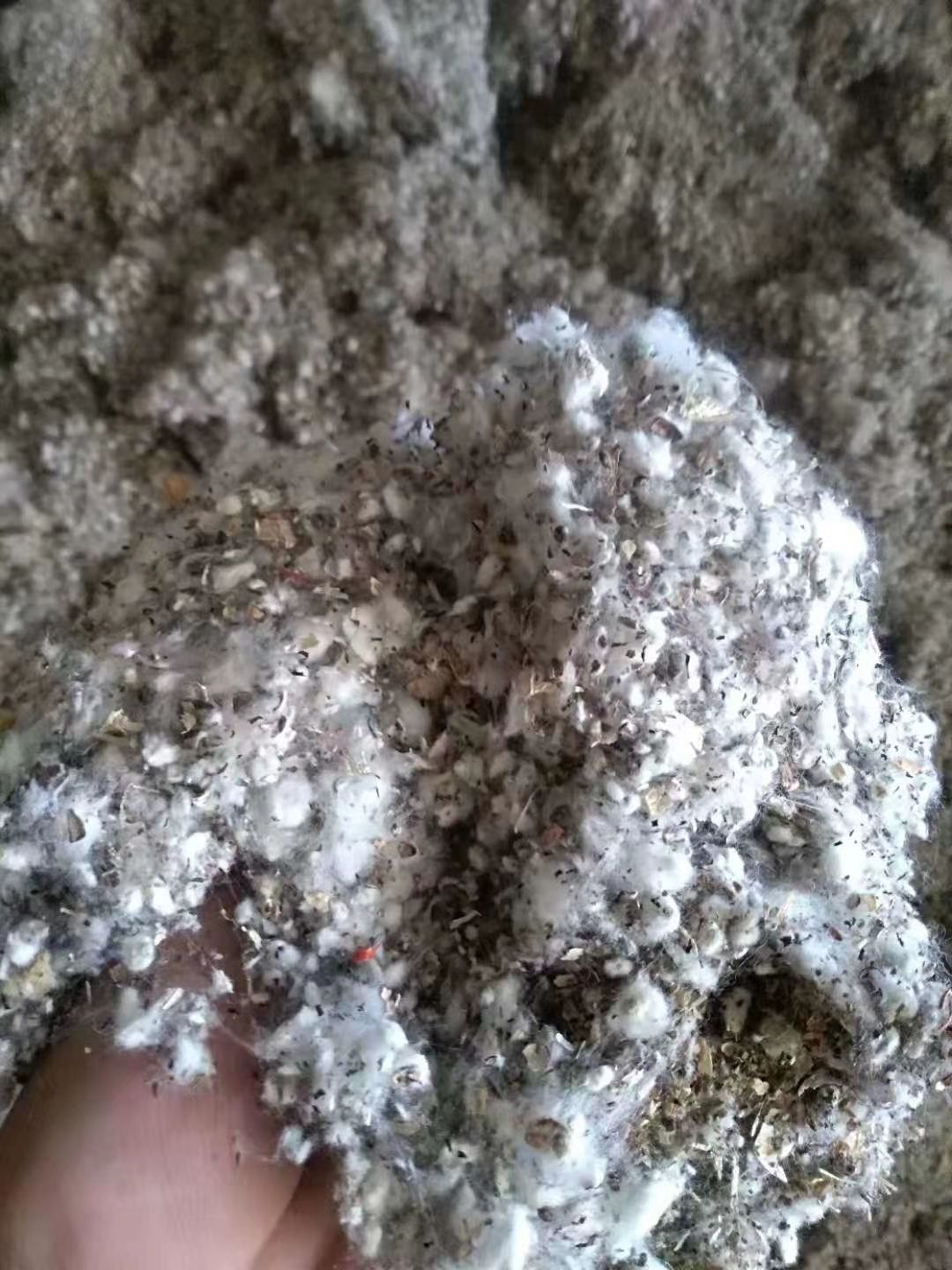棉渣  湖南江西江苏重庆四川平菇草菇秀珍菇菌用麸皮次粉棉籽壳