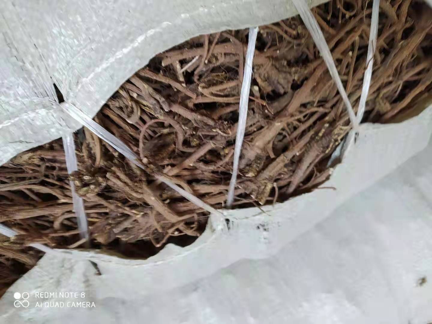北柴胡   中药材柴胡正品包含量 优质新柴胡