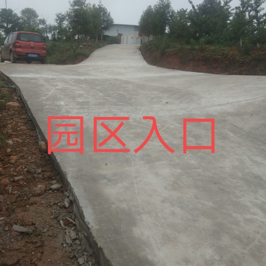 梓潼县果园转包或租凭，未来品质化农业将赢取市场，欢迎有眼光的人士！