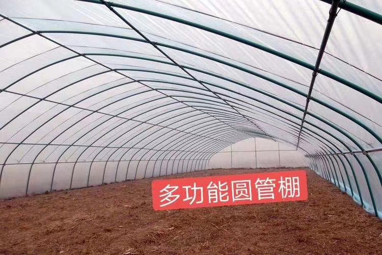 单体温室大棚  养殖温棚，蔬菜温棚联动是温棚