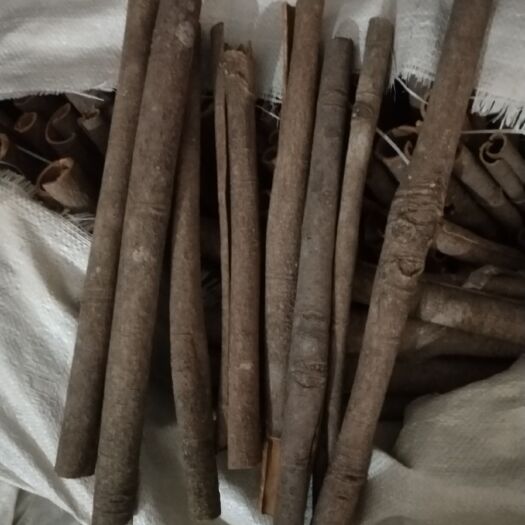 东莞市中通桂皮