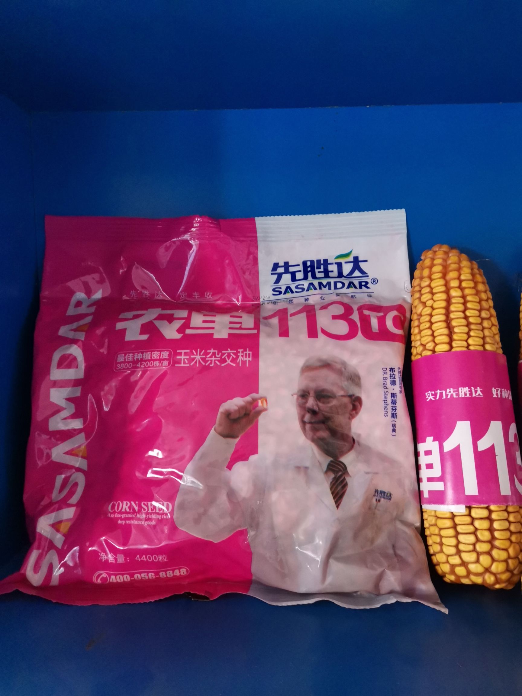 巨野县农单113玉米种子  出籽率高，稳产抗性强！