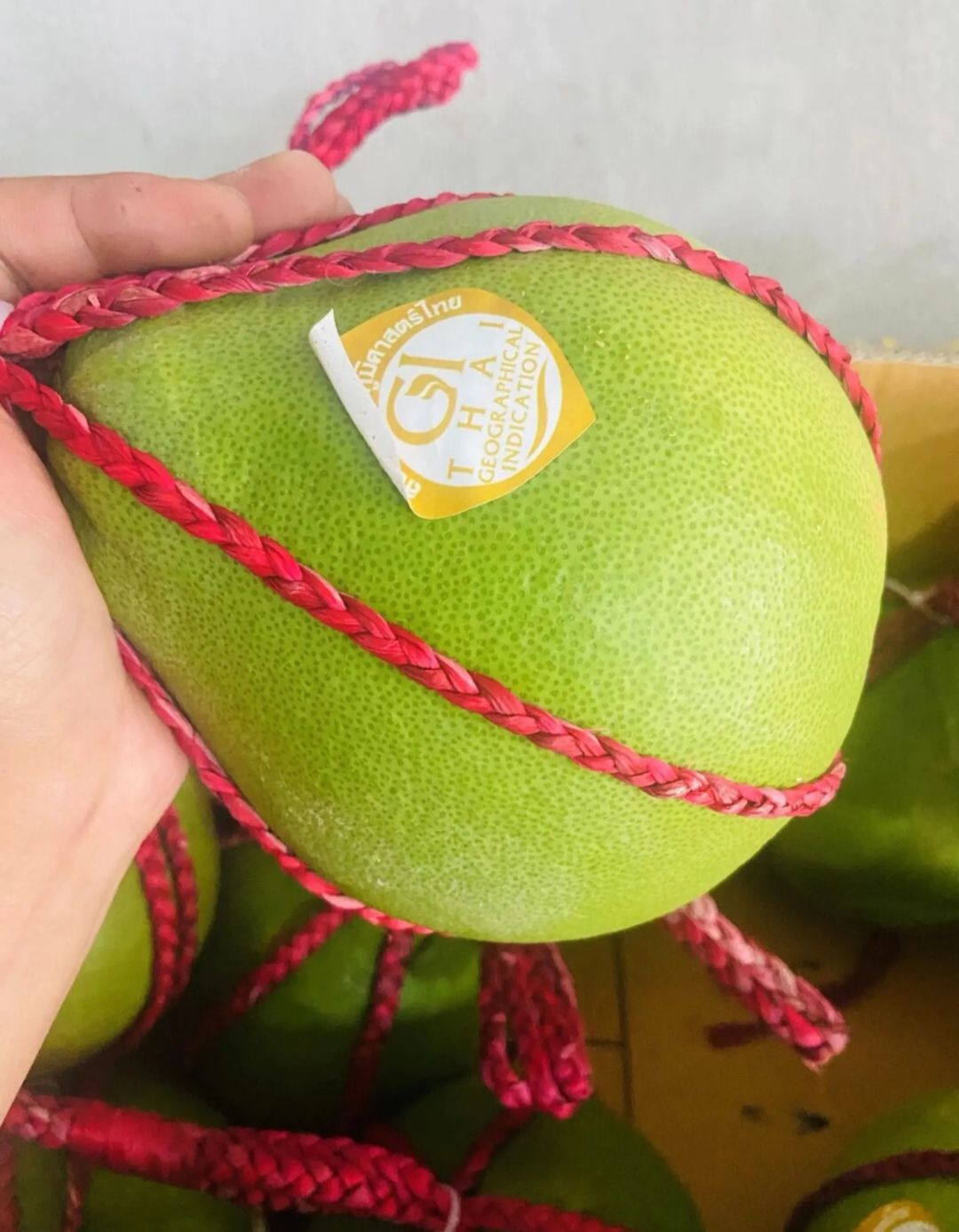 莲雾  泰国红宝石柚红心柚纯甜多汁甜蜜蜜顺丰空运包邮4.5-6斤装