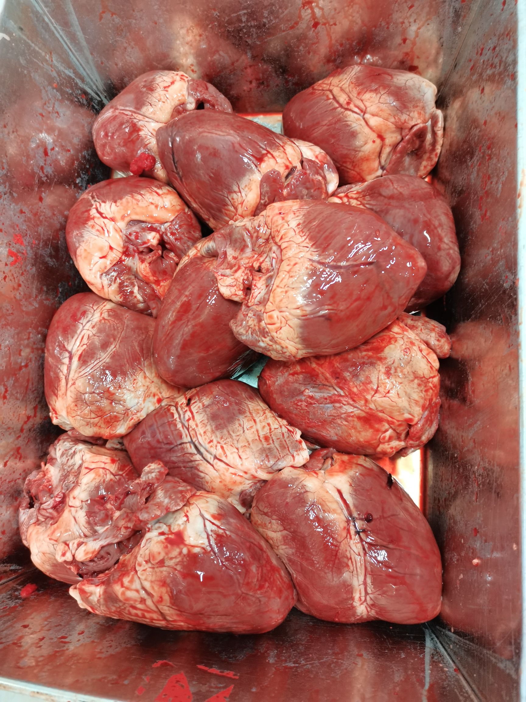  鲜品猪心工厂直供