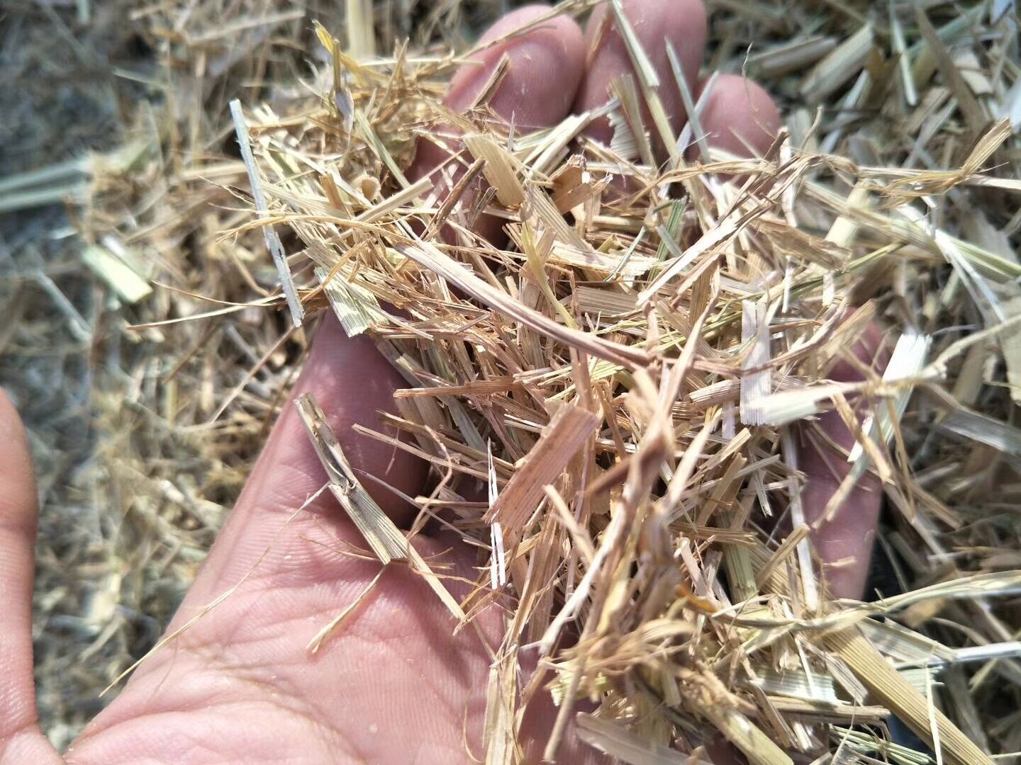 奶牛棉籽黄牛棉籽育肥饲料，棉粕棉饼玉米芯压块稻草麦秆棉籽壳