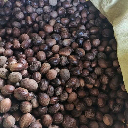 香果长，香果圆，色泽光亮无虫眼大量上市批零兼营，质优价美